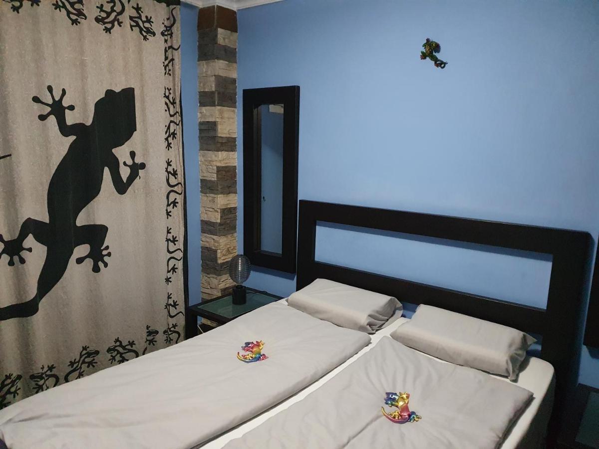 פלאייה דל אינגלז Lizards Lounge - Tanife Apartment Beim Yumbo מראה חיצוני תמונה